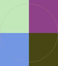 Amet hendrerit neque pala.