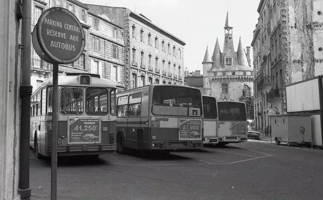 bus